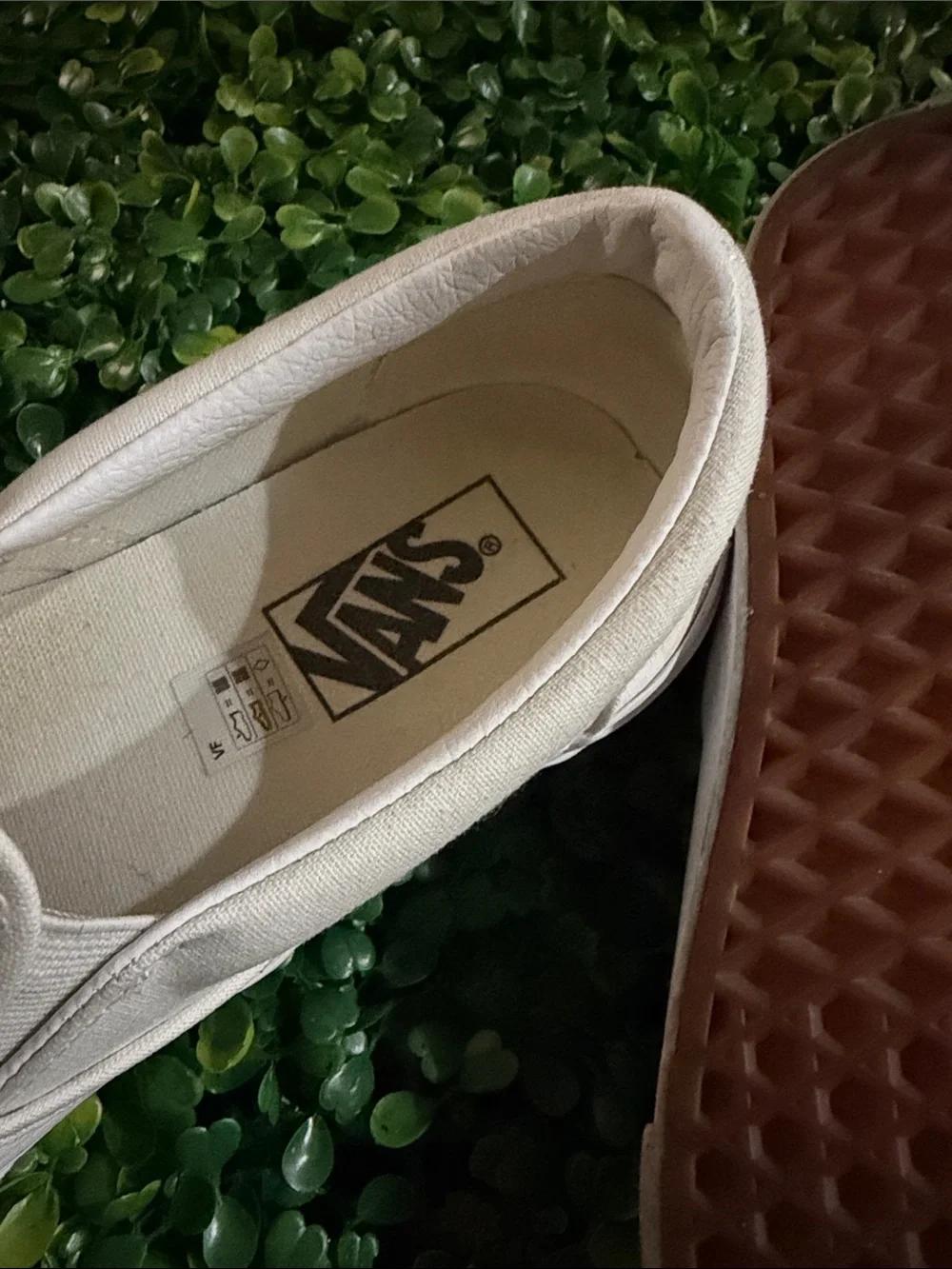 Vans - Picture 2 of 6